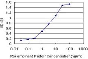 Detection limit for recombinant GST tagged CRYGD is approximately 0. (CRYGD antibody  (AA 75-174))