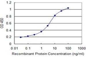 Detection limit for recombinant GST tagged MYOD1 is 0. (MYOD1 antibody  (AA 211-320))
