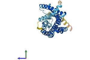 AlphaFold protein structure predicition of Human Recombinant OR2W6P Protein, UniprotID Q8NHA6 (OR2W6P Protein (AA 1-318) (His tag))