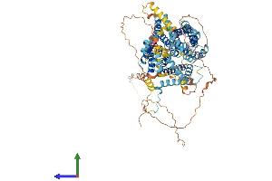AlphaFold protein structure predicition of Human Recombinant SLC9A4 Protein, UniprotID Q6AI14
