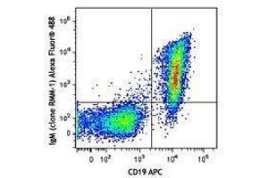 Flow Cytometry (FACS) image for Rat anti-Mouse IgM antibody (Alexa Fluor 488) (ABIN2667224) (Rat anti-Mouse IgM Antibody (Alexa Fluor 488))