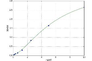 A typical standard curve (Kallikrein 7 ELISA Kit)