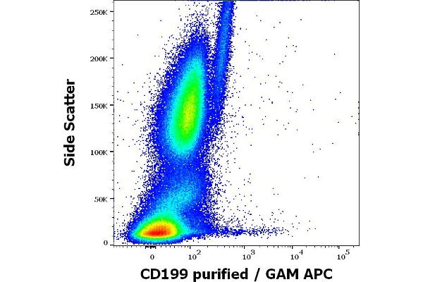 CCR9 antibody