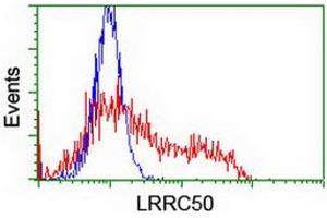 HEK293T cells transfected with either RC205452 overexpress plasmid (Red) or empty vector control plasmid (Blue) were immunostained by anti-LRRC50 antibody (ABIN2455718), and then analyzed by flow cytometry. (LRRC50 antibody)