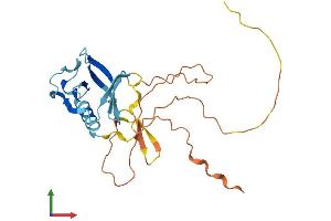 AlphaFold protein structure predicition of Mouse Recombinant Plekhb1 Protein, UniprotID Q9QYE9