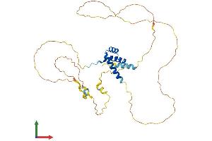 AlphaFold protein structure predicition of Mouse Recombinant Hoxb2 Protein, UniprotID P0C1T1