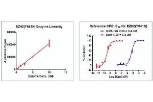 Recombinant PRC2 EZH2(Y641N) Complex activity using AlphaLISA. (PRC2 EZH2 (full length), (Tyr641Asn-Mutant) protein (DYKDDDDK Tag))