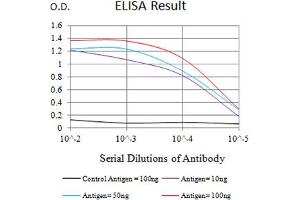 Black line: Control Antigen (100 ng),Purple line: Antigen (10 ng), Blue line: Antigen (50 ng), Red line:Antigen (100 ng) (TACI antibody  (AA 1-165))