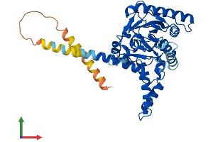 AlphaFold protein structure predicition of Mouse Recombinant Dgat2 Protein, UniprotID Q9DCV3