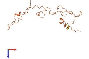 Keratin Associated Protein 9-7 (KRTAP9-7) (AA 1-169) protein (His tag)
