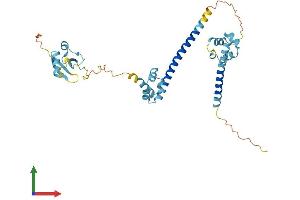 AlphaFold protein structure predicition of Human Recombinant DFFA Protein, UniprotID O00273 (DFFA Protein (AA 1-331) (His tag))