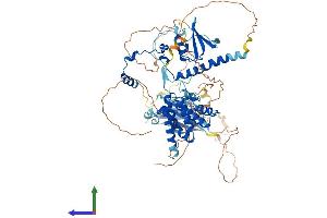 AlphaFold protein structure predicition of Human Recombinant SUZ12 Protein, UniprotID Q15022 (SUZ12 Protein (AA 1-739) (His tag))