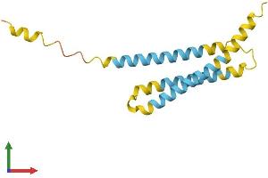 Protein Structure (PS) image for Ninjurin 2 (NINJ2) (AA 1-143) protein (His tag) (ABIN7561667)