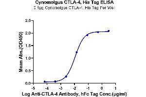 ELISA image for Cytotoxic T-Lymphocyte-Associated Protein 4 (CTLA4) (AA 37-160) protein (His tag) (ABIN7274434)