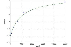 R-Spondin 1 (RSPO1) ELISA Kit