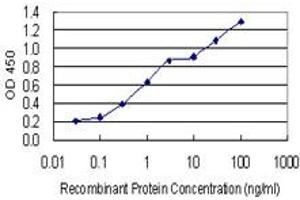 Detection limit for recombinant GST tagged GJD2 is 0. (GJD2 antibody  (AA 99-197))