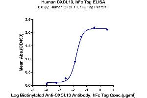 Immobilized Human CXCL13, hFc Tag at 0. (CXCL13 Protein (AA 23-109) (Fc Tag))
