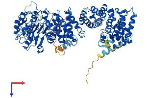 AlphaFold protein structure predicition of Human Recombinant ZYG11A Protein, UniprotID Q6WRX3 (ZYG11A Protein (AA 1-759) (His tag))
