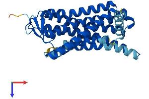 AlphaFold protein structure predicition of Human Recombinant OR6C3 Protein, UniprotID Q9NZP0 (OR6C3 Protein (AA 1-311) (His tag))