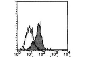 Flow Cytometry (FACS) image for anti-CD300a (CD300A) antibody (ABIN1449208) (CD300a antibody)