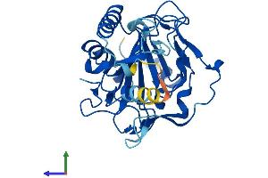AlphaFold protein structure predicition of Mouse Recombinant Phyhd1 Protein, UniprotID Q9DB26 (PHYHD1 Protein (AA 1-291) (His tag))