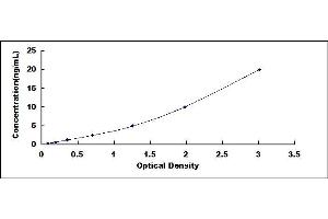 Typical standard curve (IRS1 ELISA Kit)