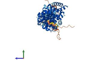 Protein Structure (PS) image for ATPase, H+ Transporting, Lysosomal 50/57kDa, V1 Subunit H (ATP6V1H) (AA 1-483) protein (His tag) (ABIN7545046)