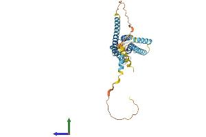 AlphaFold protein structure predicition of Mouse Recombinant Gja4 Protein, UniprotID P28235