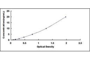 Typical standard curve (Angiomotin ELISA Kit)