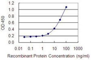 Detection limit for recombinant GST tagged SLC15A3 is 0. (SLC15A3 antibody  (AA 254-311))