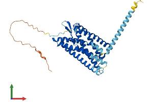 Protein Structure (PS) image for Purinergic Receptor P2Y, G-Protein Coupled, 1 (P2RY1) (AA 1-373) protein (His tag) (ABIN7550334)