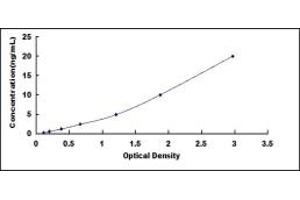 PSMA5 ELISA Kit