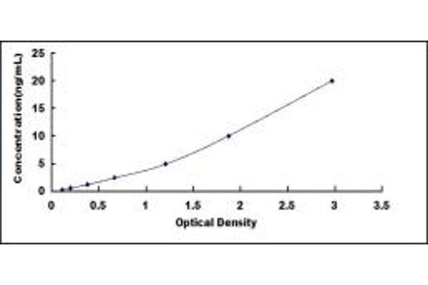 PSMA5 ELISA Kit