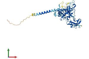 AlphaFold protein structure predicition of Mouse Recombinant Tmprss4 Protein, UniprotID Q8VCA5 (TMPRSS4 Protein (AA 1-435) (His tag))