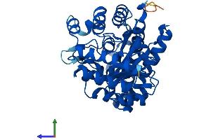 AlphaFold protein structure predicition of Mouse Recombinant Urod Protein, UniprotID P70697