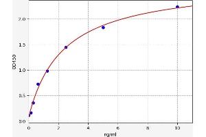 Taxilin alpha (TXLNA) ELISA Kit