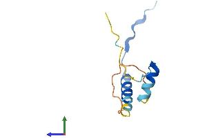AlphaFold protein structure predicition of Mouse Recombinant Cdc26 Protein, UniprotID Q99JP4