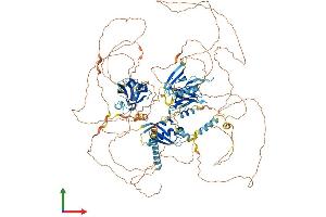 AlphaFold protein structure predicition of Human Recombinant PARD3B Protein, UniprotID Q8TEW8