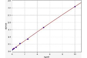 Cathepsin S (CTSS) ELISA Kit