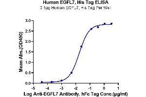 Immobilized Human EGFL7, His Tag at 1 μg/mL (100 μL/well) on the plate. (EGFL7 Protein (AA 24-273) (His tag))