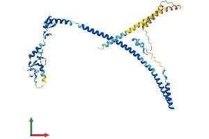 AlphaFold protein structure predicition of Human Recombinant TRIM13 Protein, UniprotID O60858 (TRIM13 Protein (AA 1-407) (His tag))