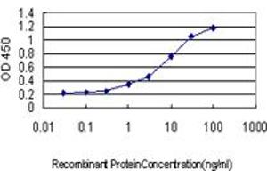 Detection limit for recombinant GST tagged ZBTB33 is approximately 0. (ZBTB33 antibody  (AA 564-673))