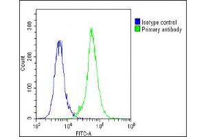 Overlay histogram showing A549 cells stained with (ABIN1537480 and ABIN2848885)(green line). (LOXL4 antibody  (C-Term))