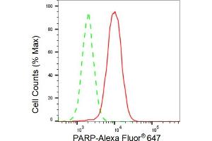 Flow cytometric analysis of PARP expression in HAP-1 cells using PARP antibody (ABIN7799866), 1:2,000).