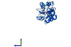 AlphaFold protein structure predicition of Human Recombinant MDP1 Protein, UniprotID Q86V88 (MDP1 Protein (AA 1-176) (His tag))