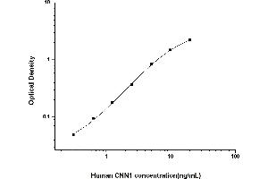 Typical standard curve (CNN1 ELISA Kit)