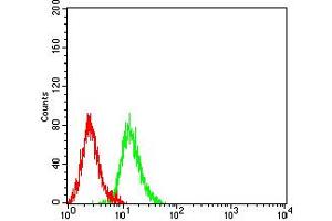 Flow cytometric analysis of K562 cells using ADAP1 mouse mAb (green) and negative control (red). (ADAP1 antibody  (AA 240-370))