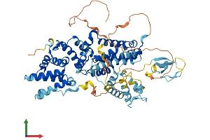 AlphaFold protein structure predicition of Mouse Recombinant Rasgrp2 Protein, UniprotID Q9QUG9