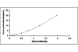 Typical standard curve (VHL ELISA Kit)