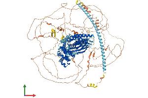 Protein Structure (PS) image for Synaptic Ras GTPase Activating Protein 1 (SYNGAP1) (AA 1-1340) protein (His tag) (ABIN7562142)